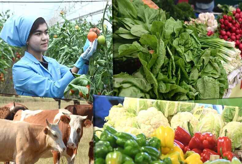 Рост агропродукции в Таджикистане